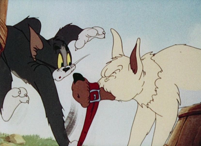 Tom si Jerry - Tom si Jerry Part 4