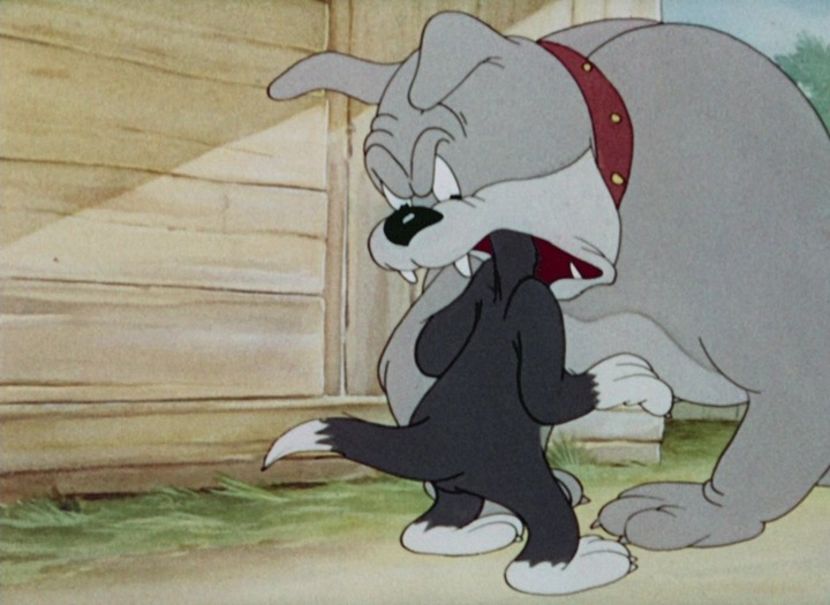 Tom si Jerry - Tom si Jerry Part 4