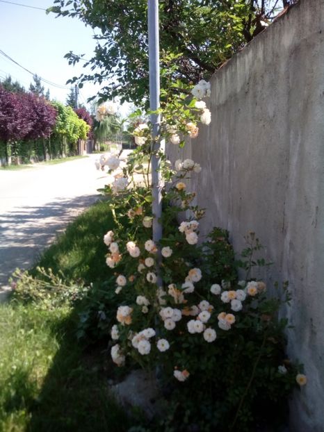  - Ghislaine de Feligonde