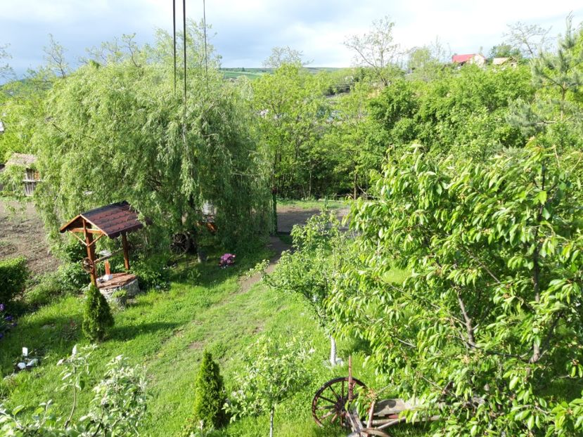  - Casuta de la tara in 2021