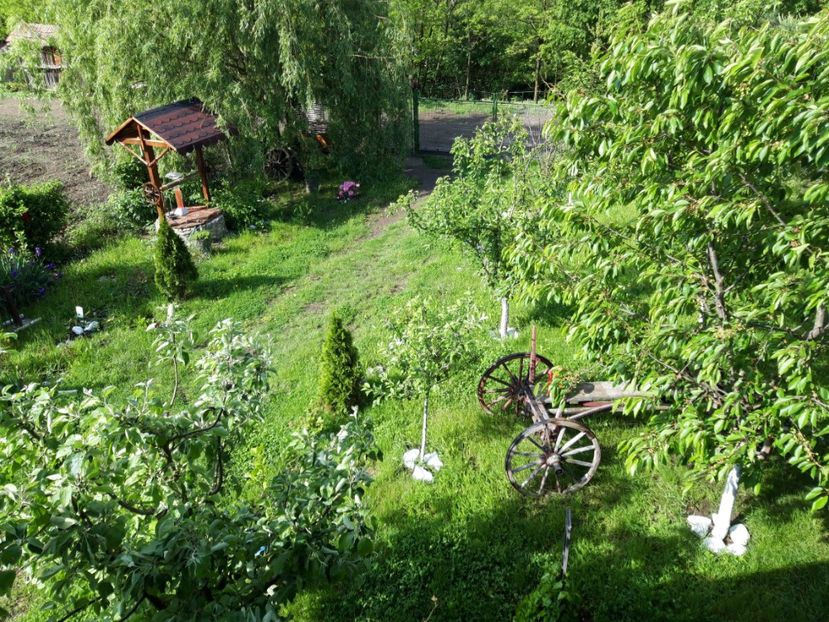  - Casuta de la tara in 2021