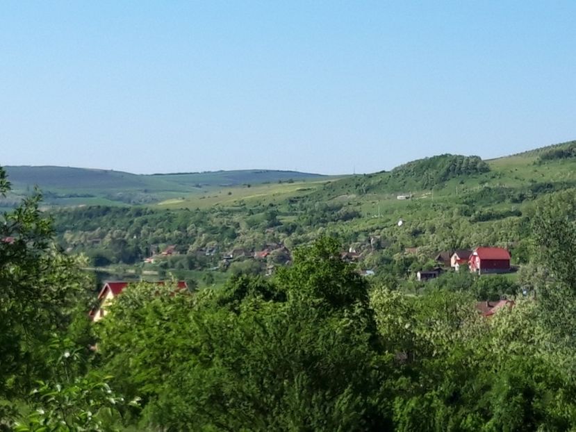  - Satu Nou