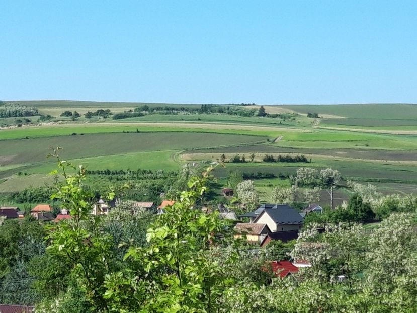  - Satu Nou