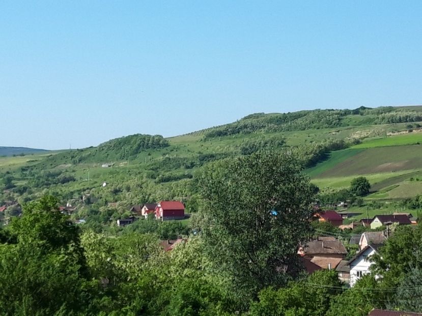  - Satu Nou