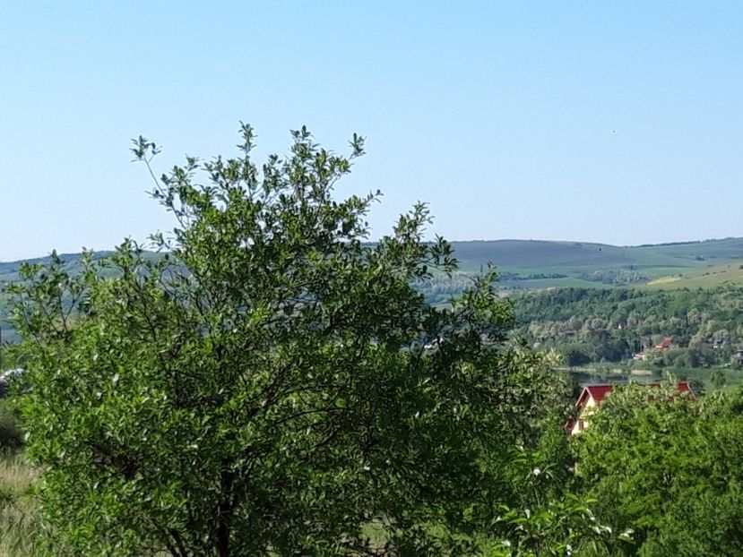  - Satu Nou