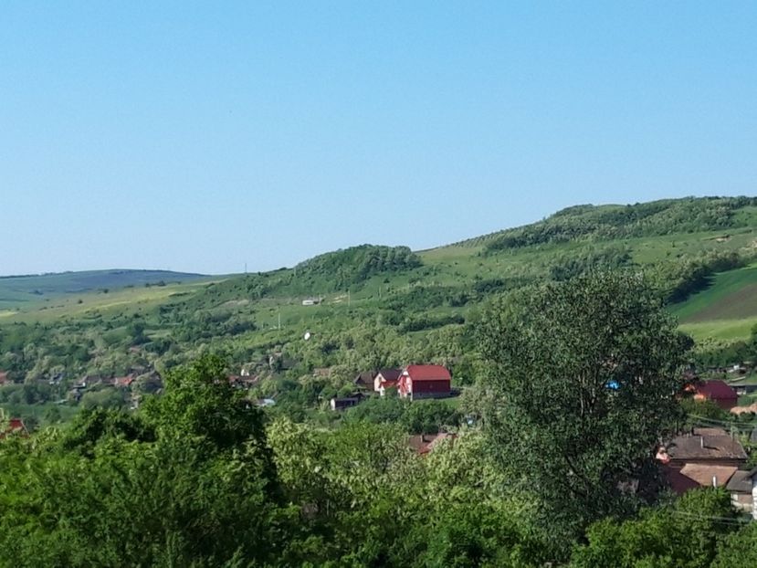  - Satu Nou