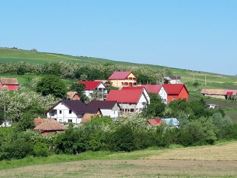  - Satu Nou