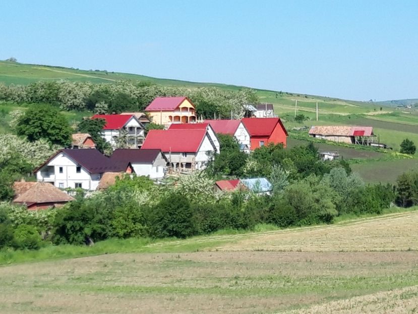  - Satu Nou