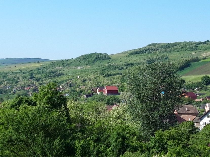  - Satu Nou