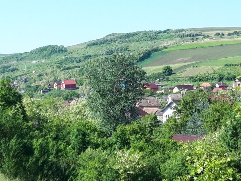  - Satu Nou