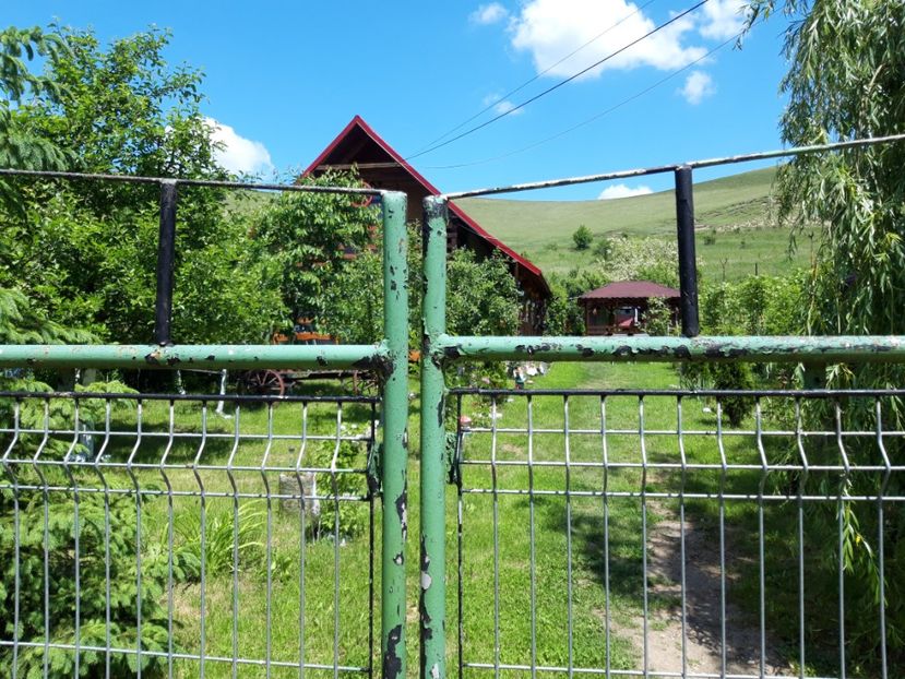  - vara 2021
