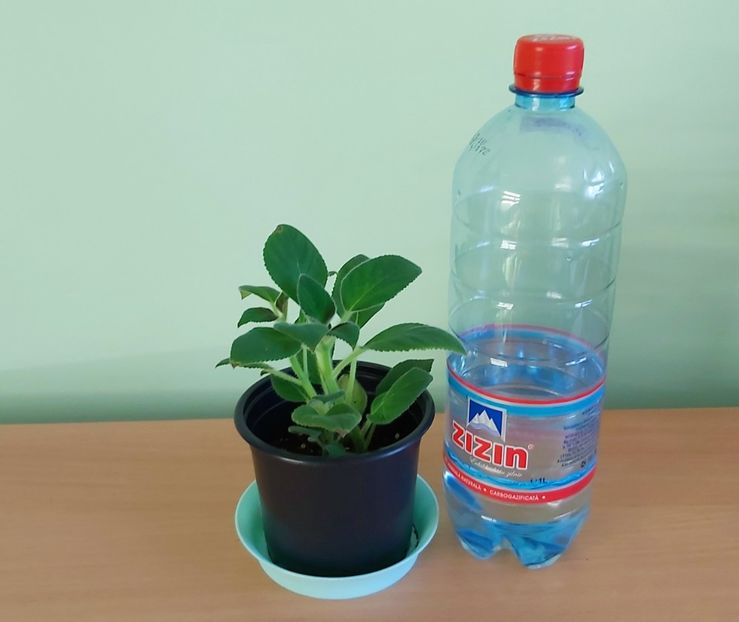  - 111- Rezervate 2021