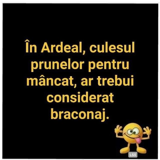 IMG-20210607-WA0002 - Divertisment 4