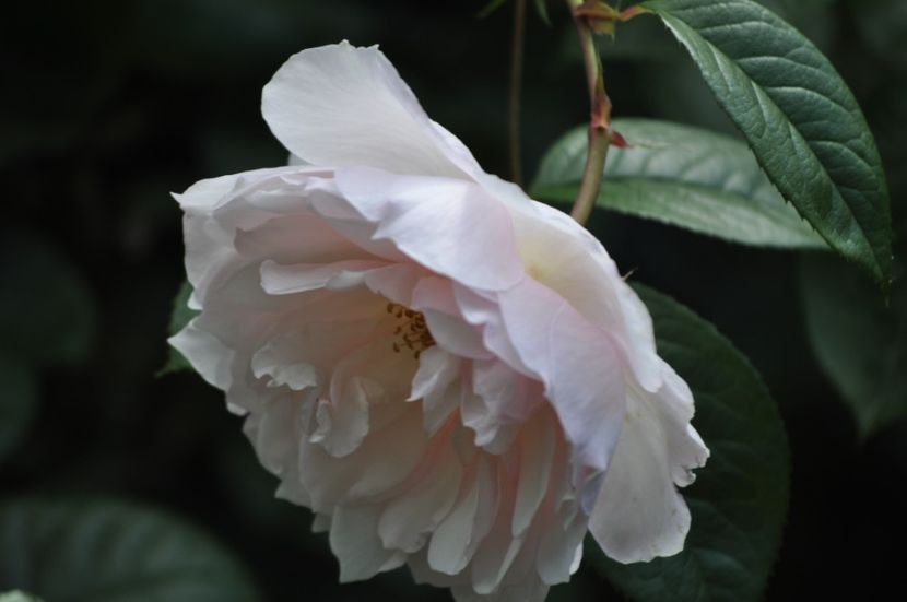 _DSC0318 - VARA 2021_1