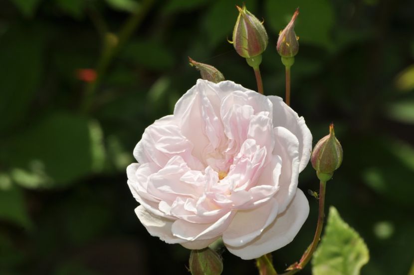 _DSC0333 - VARA 2021_1