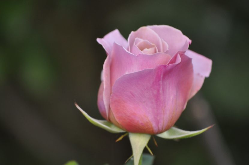 _DSC0444 - VARA 2021_1