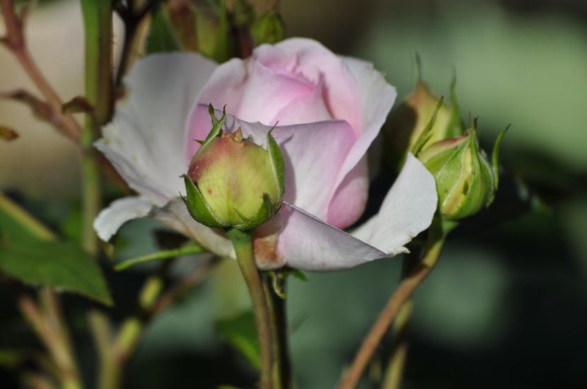 _DSC0038 - VARA 2021_2