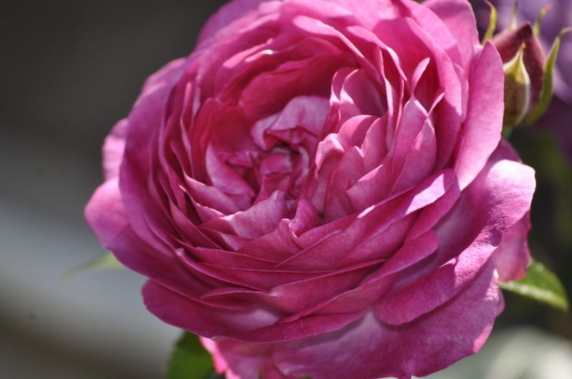 _DSC0040 - VARA 2021_2