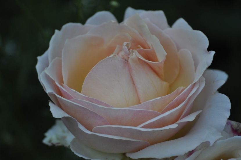 _DSC0060 - VARA 2021_2