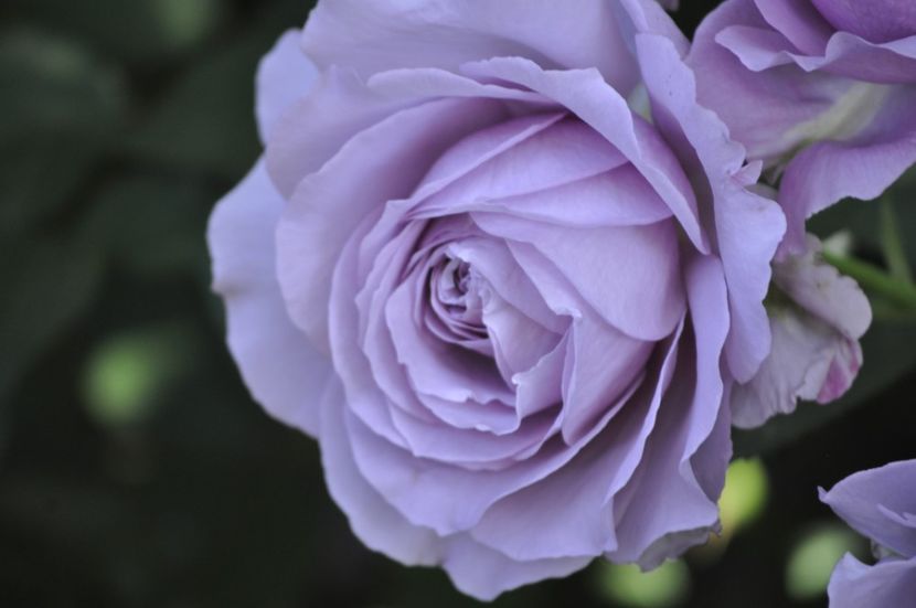 _DSC0128 - VARA 2021_2