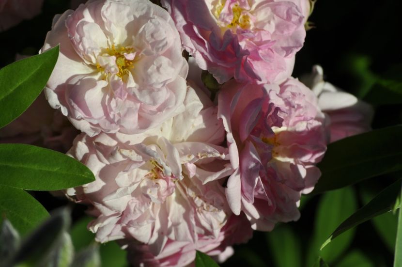 _DSC0129 - VARA 2021_2