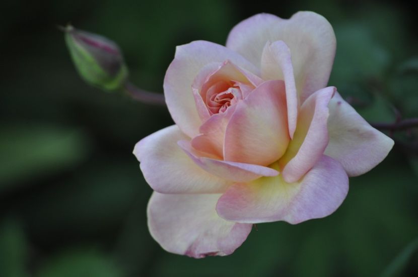 _DSC0133 - VARA 2021_2