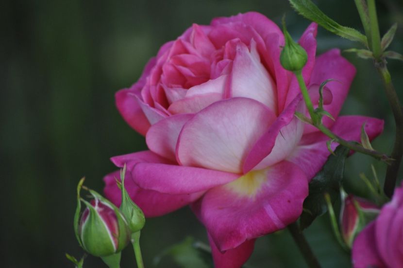 _DSC0137 - VARA 2021_2