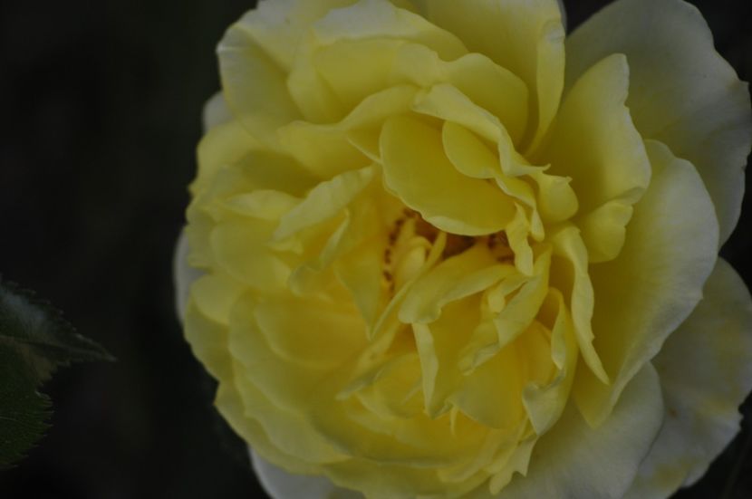 _DSC0157 - VARA 2021_2