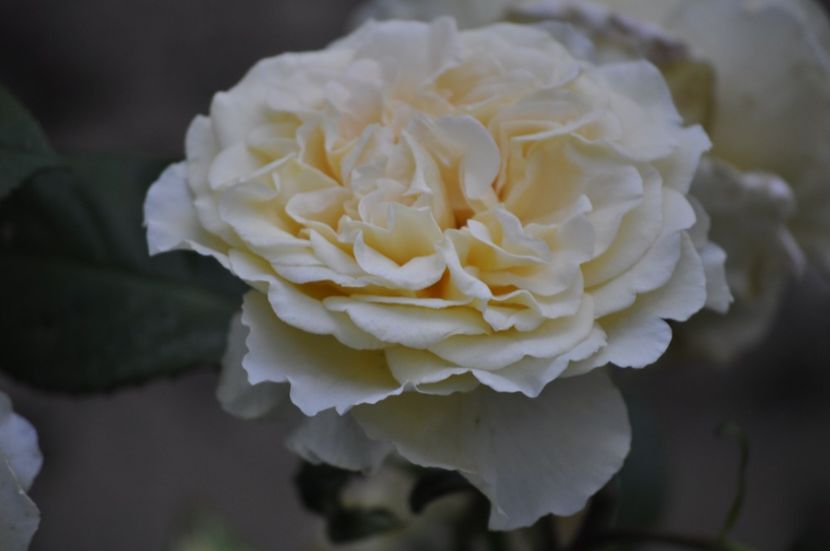 _DSC0160 - VARA 2021_2