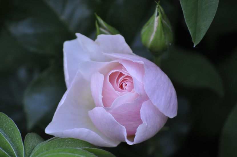 _DSC0164 - VARA 2021_2