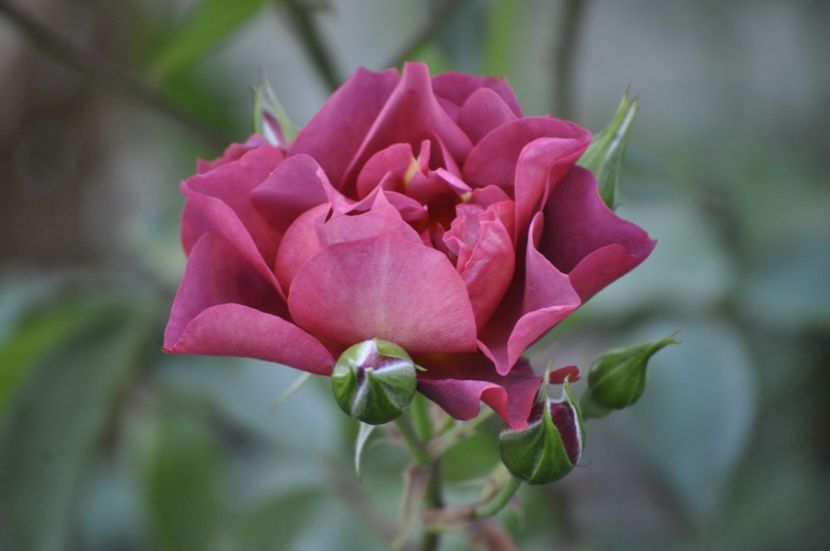 _DSC0181 - VARA 2021_2