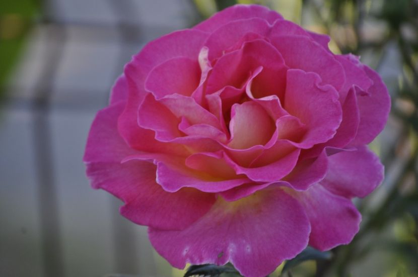 _DSC0182 - VARA 2021_2