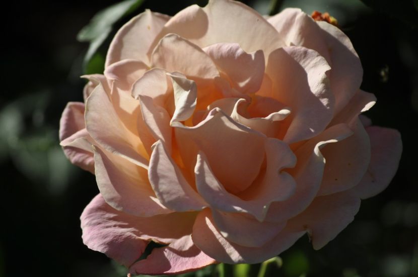 _DSC0188 - VARA 2021_2