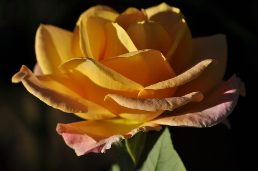 _DSC0191 - VARA 2021_2