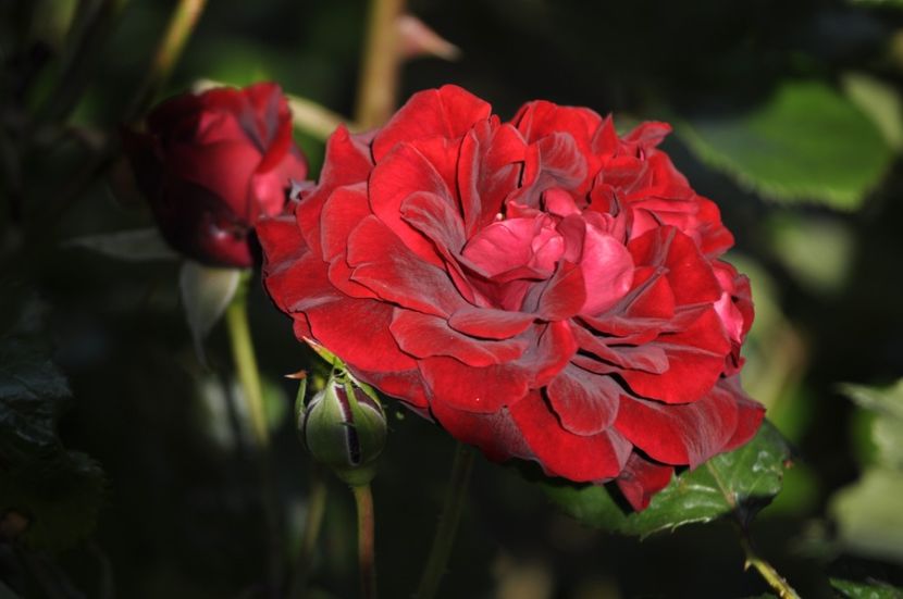 _DSC0194 - VARA 2021_2