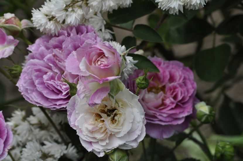 _DSC0024 - VARA 2021_2