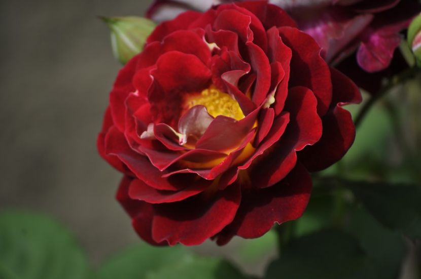 _DSC0038 - VARA 2021_2