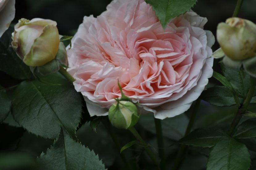 _DSC0113 - VARA 2021_2