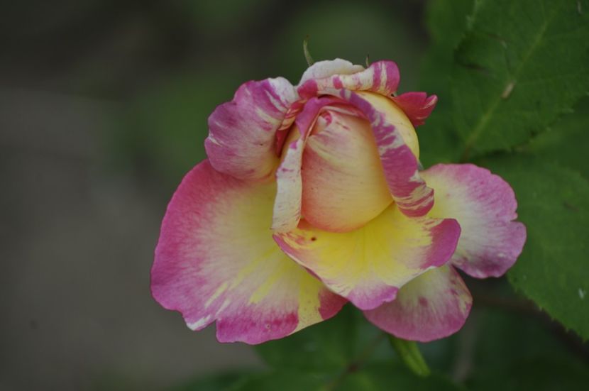 _DSC0115 - VARA 2021_2