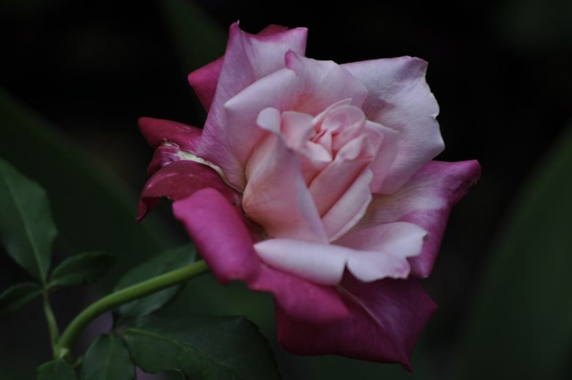 _DSC0126 - VARA 2021_2
