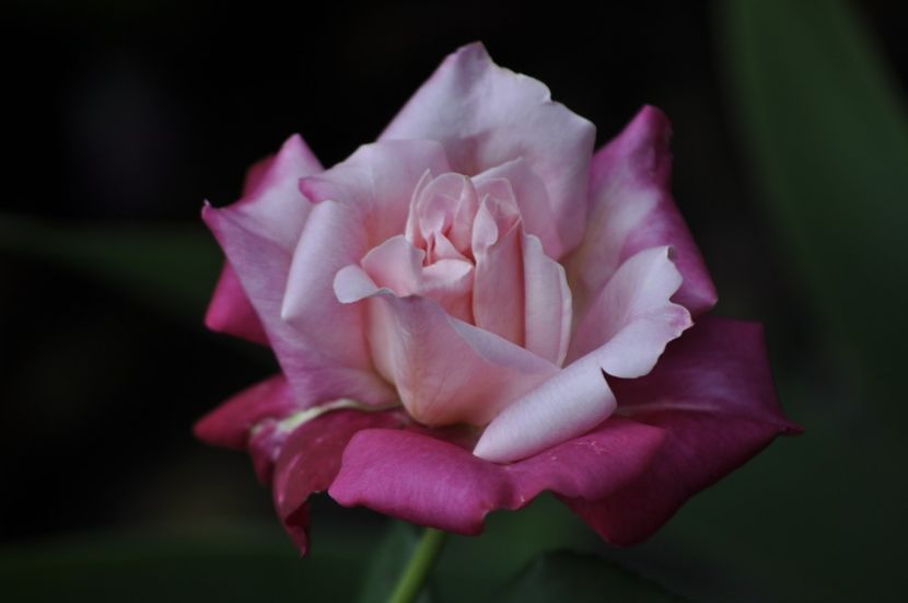 _DSC0127 - VARA 2021_2
