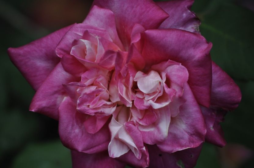 _DSC0129 - VARA 2021_2