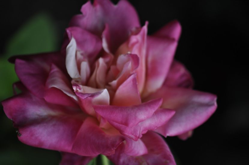 _DSC0131 - VARA 2021_2