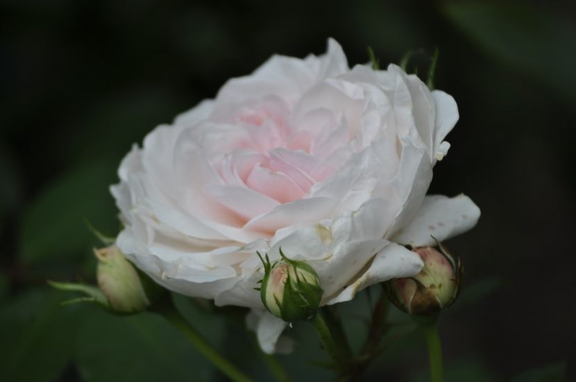 _DSC0137 - VARA 2021_2