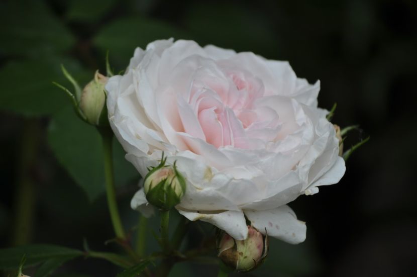 _DSC0138 - VARA 2021_2