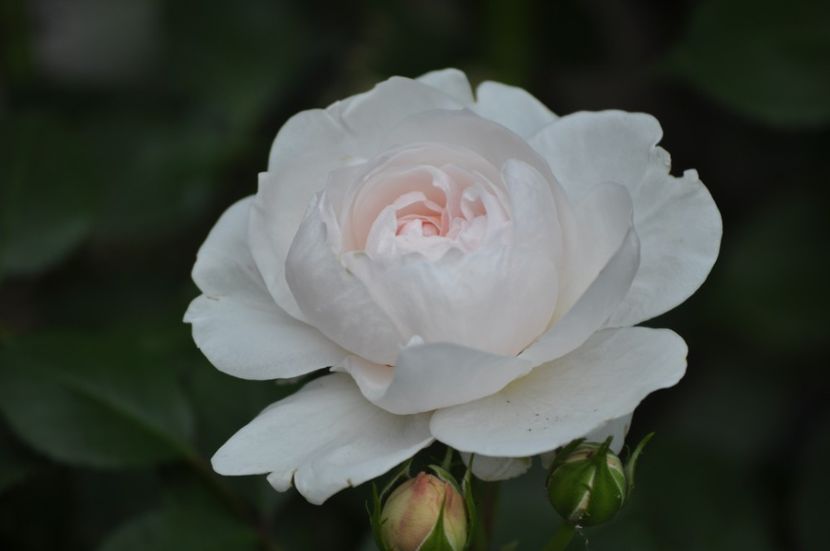 _DSC0139 - VARA 2021_2