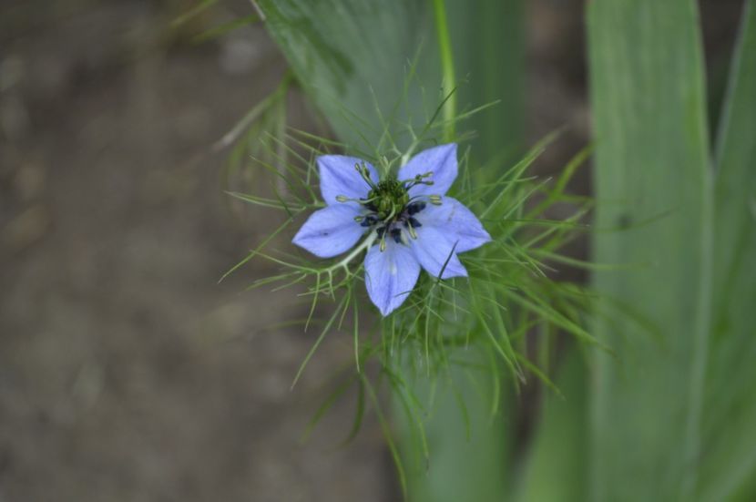 _DSC0146 - VARA 2021_2