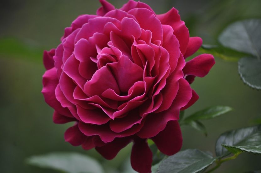 _DSC0153 - VARA 2021_2