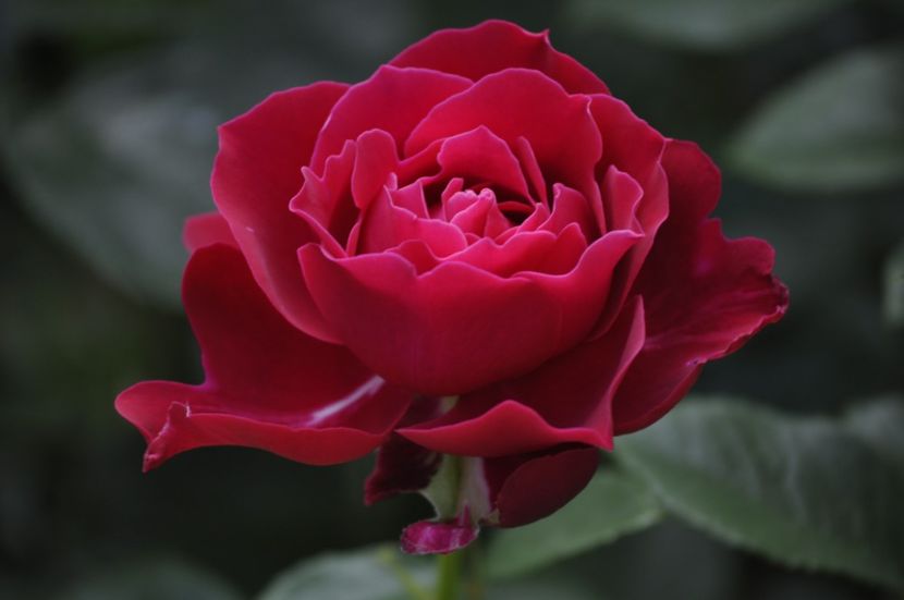 _DSC0155 - VARA 2021_2