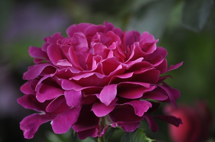 _DSC0158 - VARA 2021_2